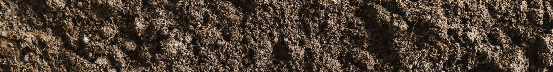 Грунт